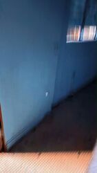 Serangoon Stadium (D19), Shop House #593657391